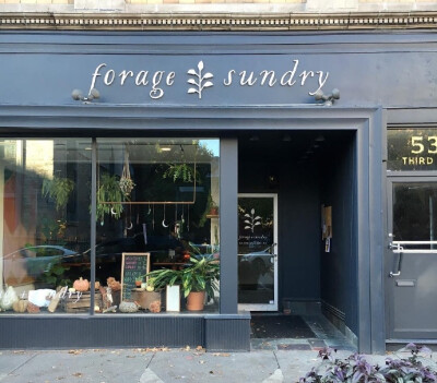 「 Forage + Sundry」是一家位于纽约州特洛伊的植物店，除了销售植物，还有一些手工制品。 ​​​​