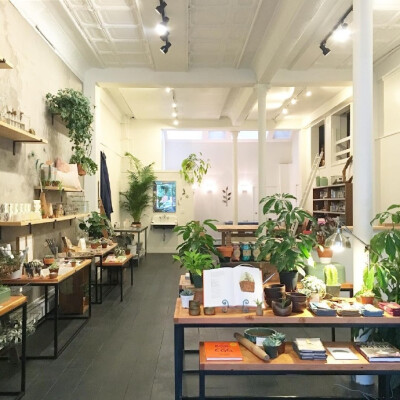 「 Forage + Sundry」是一家位于纽约州特洛伊的植物店，除了销售植物，还有一些手工制品。 ​​​​