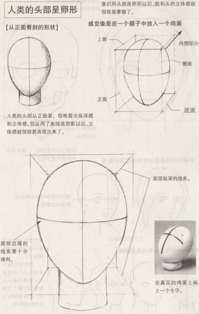 头部绘画