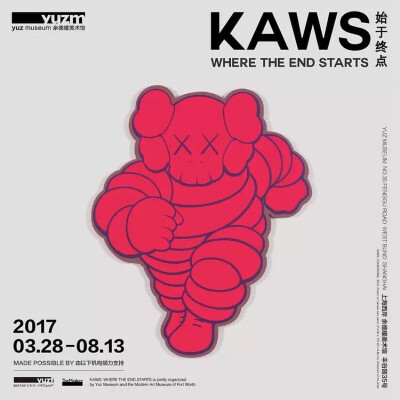 kaws