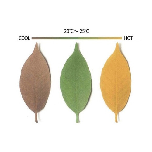 日本进口plus d +d 创意家用室内变色树叶温度计小号8片装