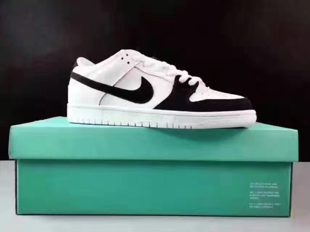 NIKE Dunk Slow SB