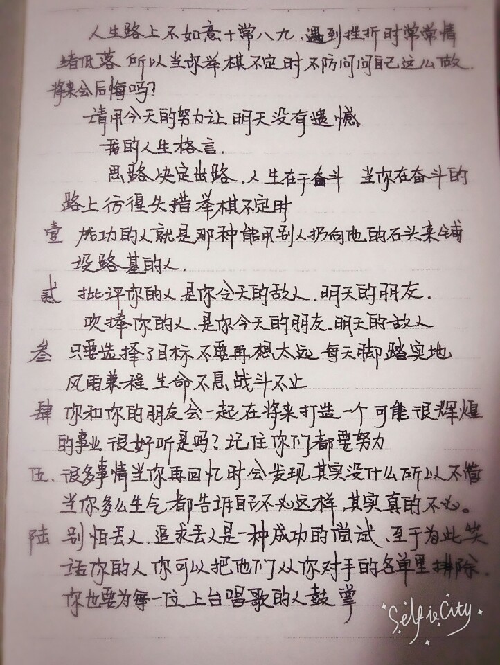 喂了一嘴鸡汤，其实只是随便选了拿来练字的