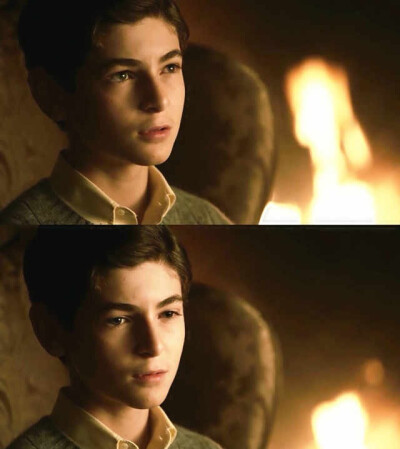 David Mazouz，2001年2月19日出生于洛杉矶，美国演员。他自出道以来参演了多部影视剧作品，代表作品有《触摸未来》、《哥谭》等。
