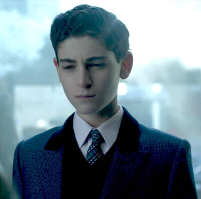 David Mazouz，2001年2月19日出生于洛杉矶，美国演员。他自出道以来参演了多部影视剧作品，代表作品有《触摸未来》、《哥谭》等。
