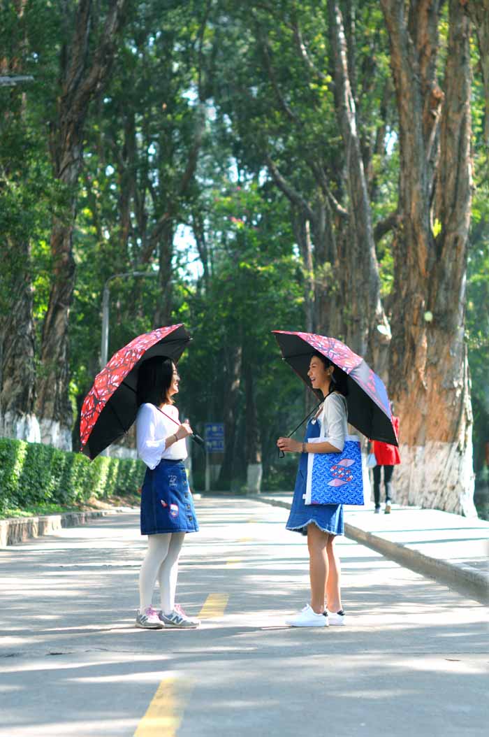 好想再见，跟你面对面，就像那一年——校园纪念