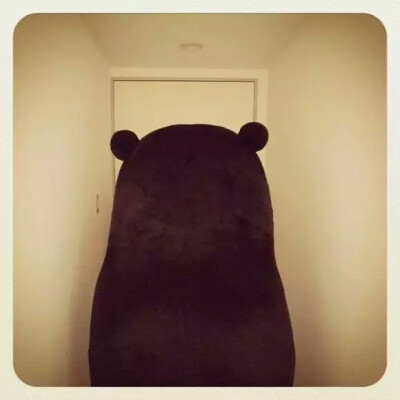 熊本熊 KUMAMON