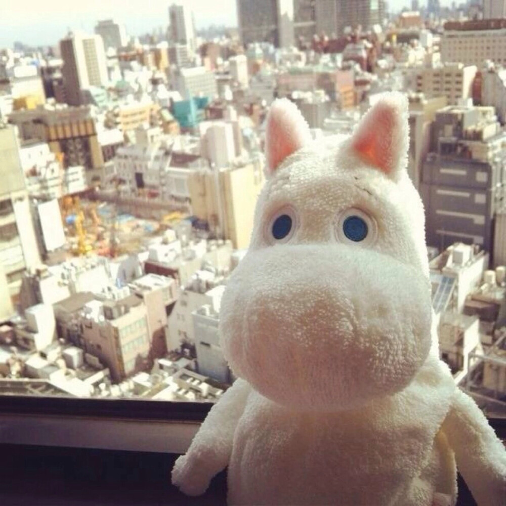 Moomin❤️