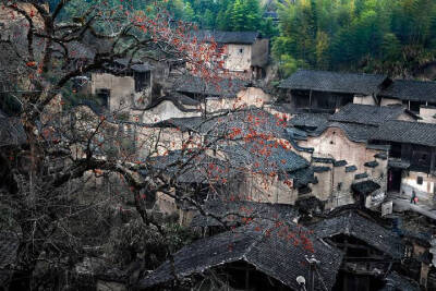 山中岁月容易过，世上繁华已千年