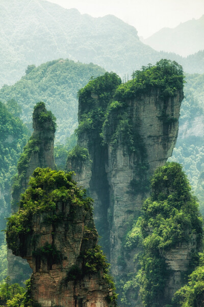 风景