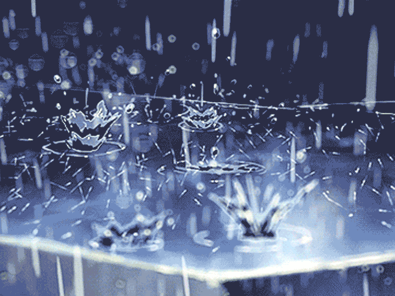 800_600gif 动态图 动图