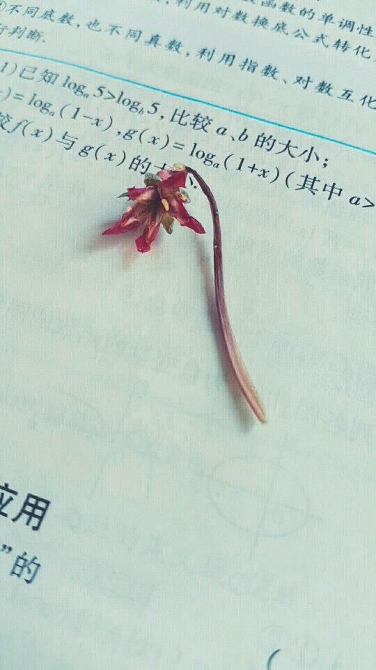 干花