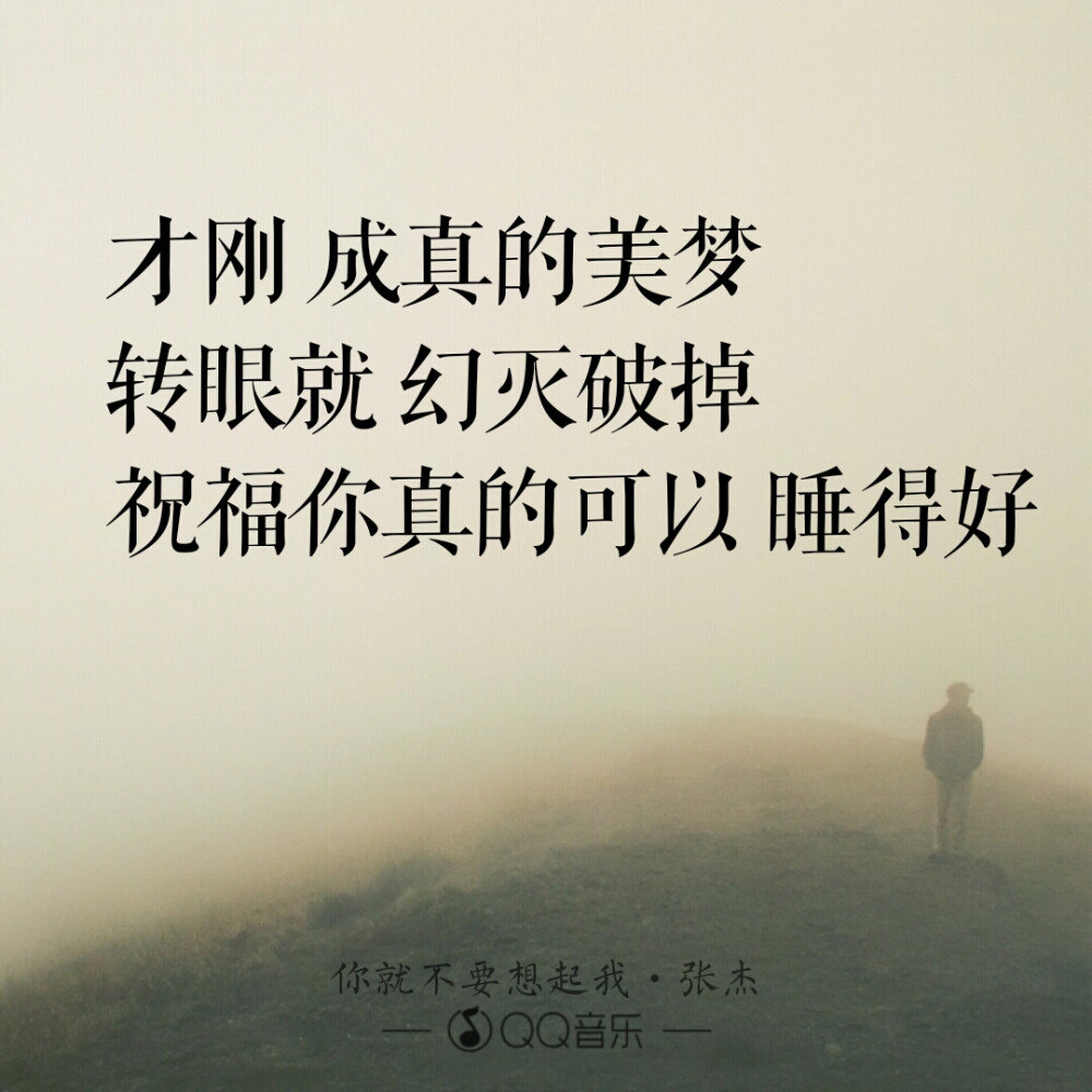 张杰 / 你就不要想起我