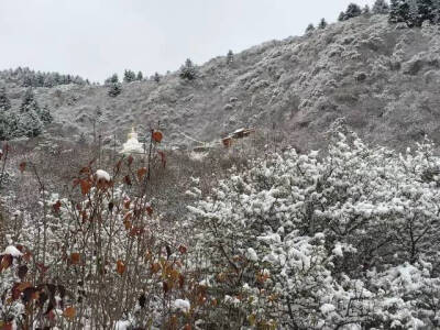 雪寺