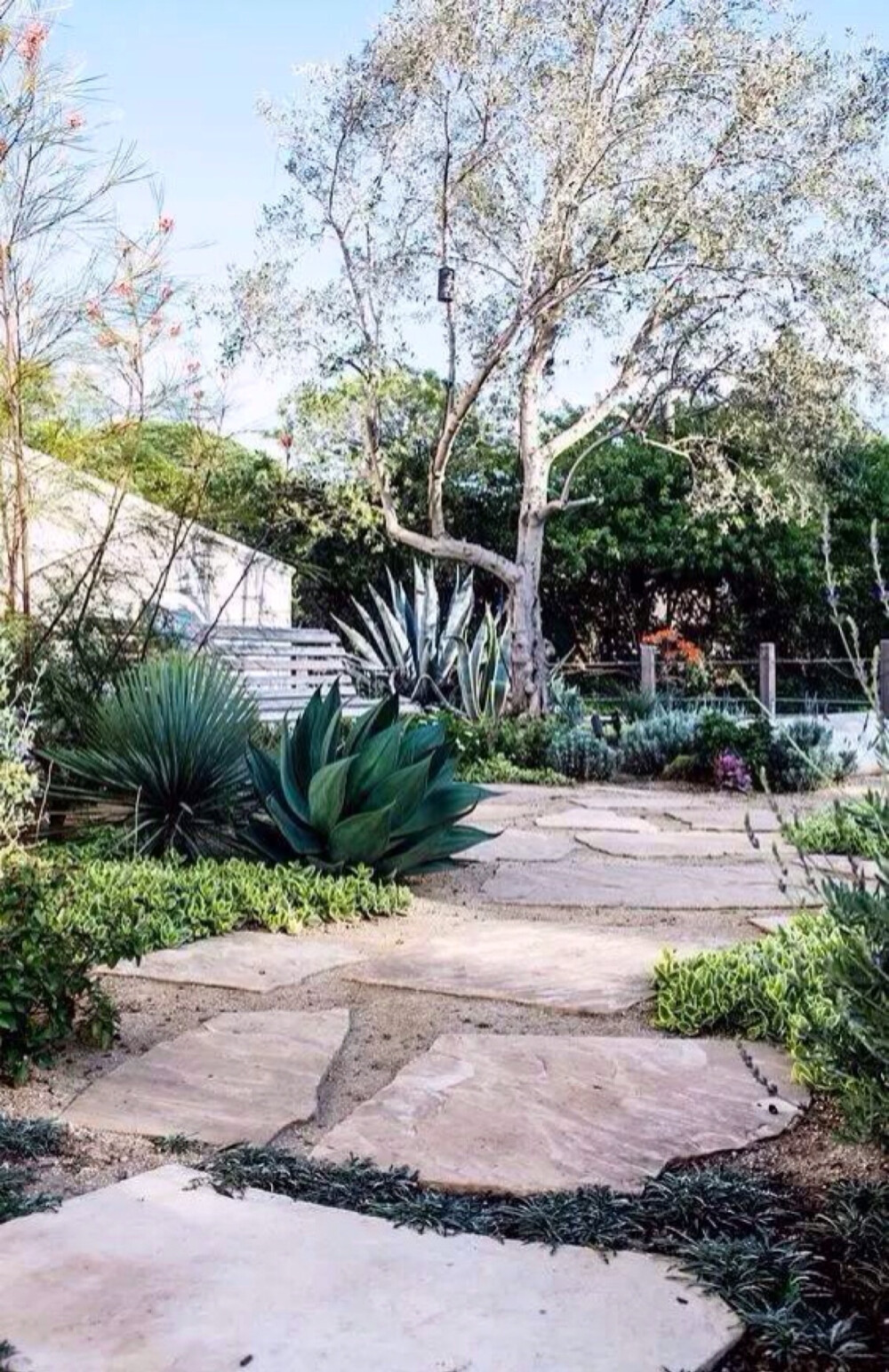 多肉绿化也不错