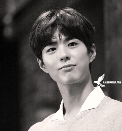 朴宝剑 parkbogum ●ε●～