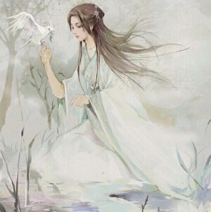 雨过晓开帘 一时放春入