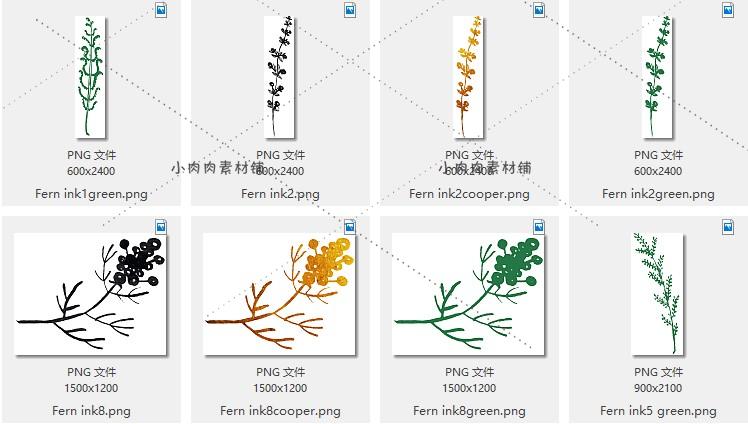 热带植物手绘水彩叶子海报花边封面模板PNG免扣设计素材png157