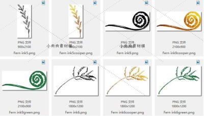 热带植物手绘水彩叶子海报花边封面模板PNG免扣设计素材png157