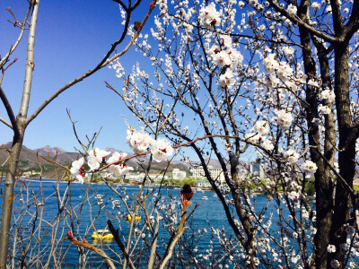 北京雁栖湖 初春