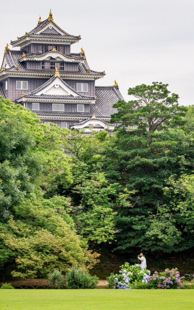 风景