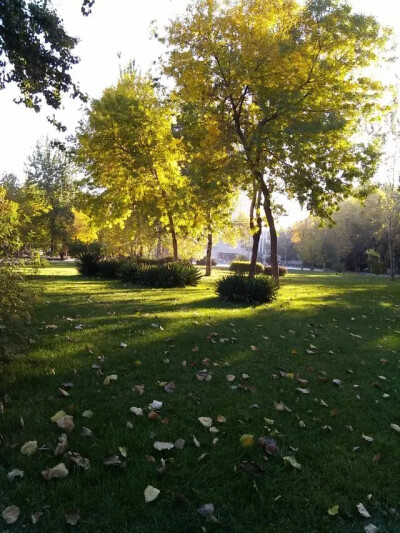 静仪门前的草坪，到处都是风景