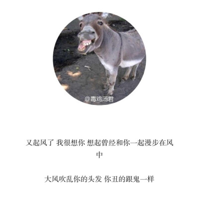 你是我的优乐美又怎么样 你最后的归宿还是垃圾桶 ​​​​ ​​​​毒鸡汤君的鸡汤，清栀