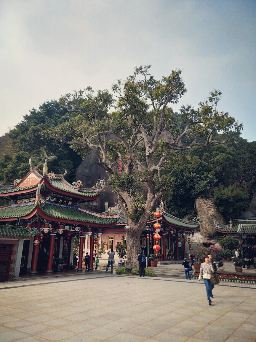 日光岩&日光岩寺
走走停停
吸引目光的是风景，也是生活
漫步鼓浪屿
厦门╳鼓浪屿