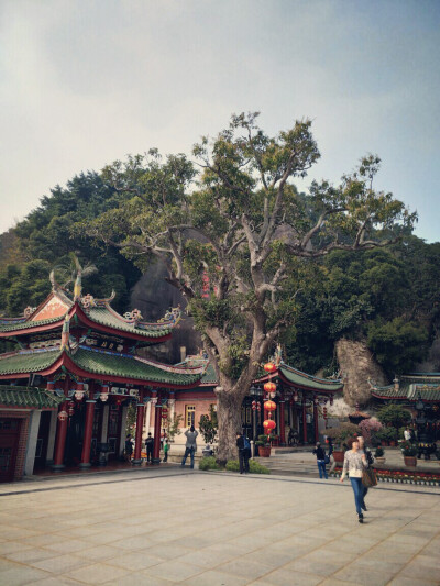 日光岩&日光岩寺
走走停停
吸引目光的是风景，也是生活
漫步鼓浪屿
厦门╳鼓浪屿