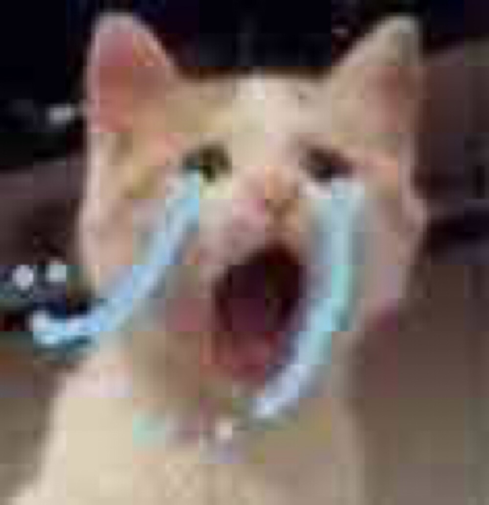 莫名其妙的喜欢这种一点都不高清的表情包