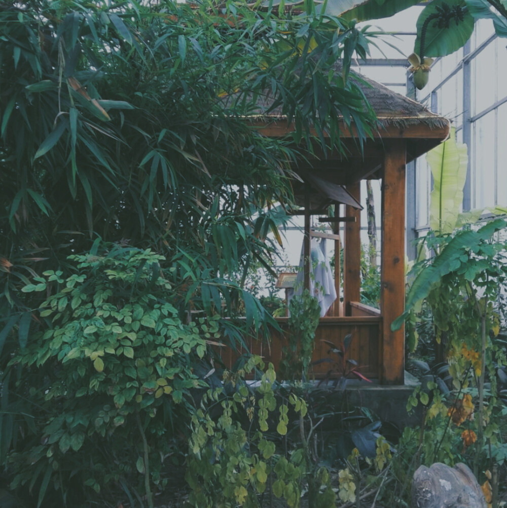 祭川木｜生活摄影集
摄：蔡蔡 / 后期：祭川木