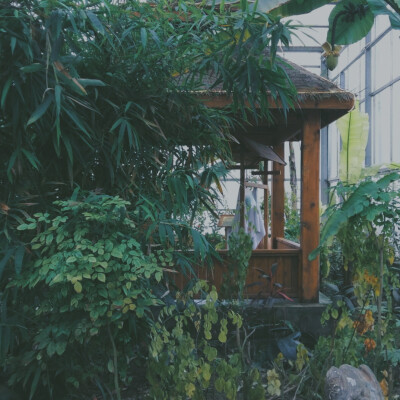 祭川木｜生活摄影集
摄：蔡蔡 / 后期：祭川木