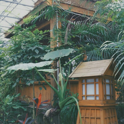 祭川木｜生活摄影集
摄：蔡蔡 / 后期：祭川木