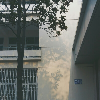 祭川木｜生活摄影集
摄 / 后期：祭川木