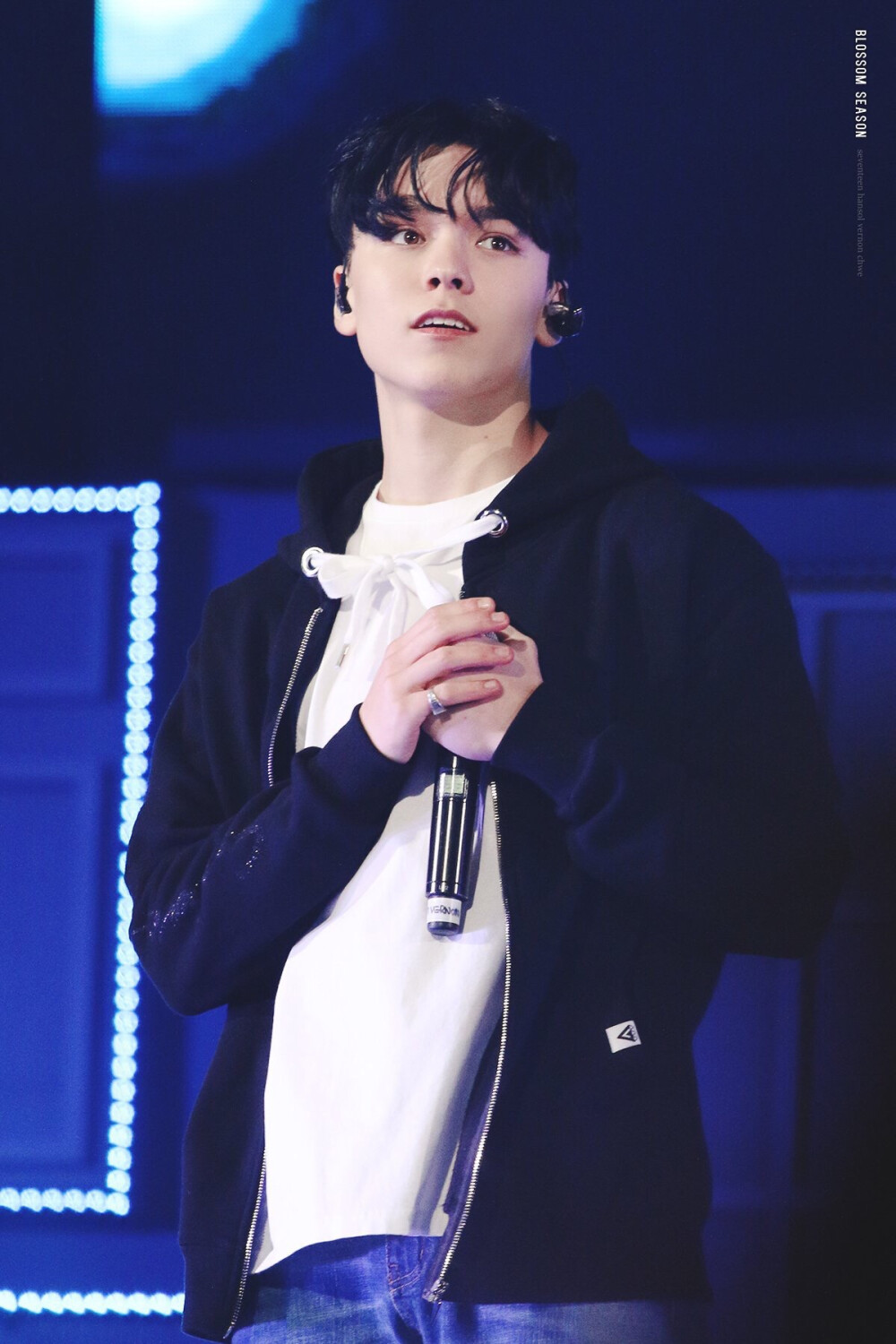 SEVENTEEN Vernon Cr. Blossom Season