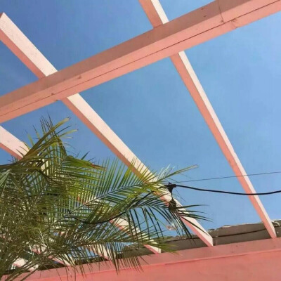 往南
7⃣