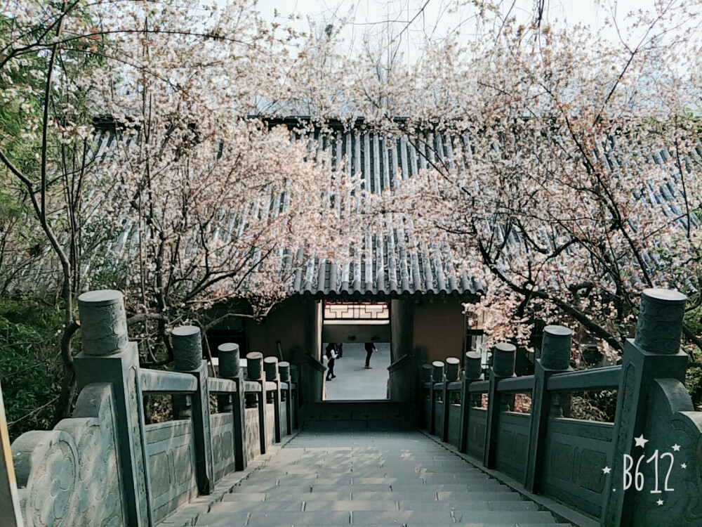 寺庙