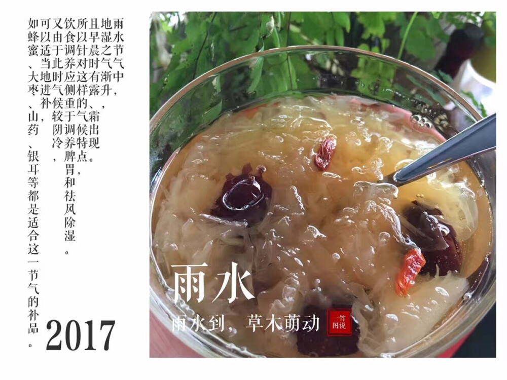 【一竹&24节气】今日节气：雨水
雨水节气中，地湿之气渐升，且早晨时有露、霜出现。所以针对这样的气候特点，饮食调养应侧重于调养脾胃和祛风除湿。又由于此时气候较阴冷，可以适当地进补，如蜂蜜、大枣、山药、银耳等都是适合这一节气的补品。