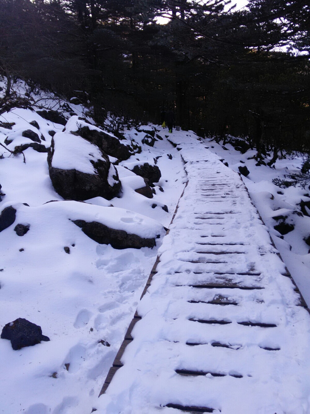 轿子雪山