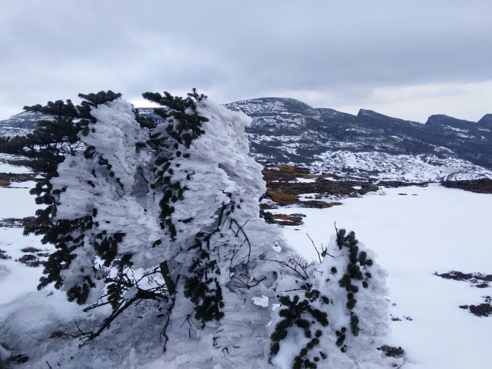 轿子雪山