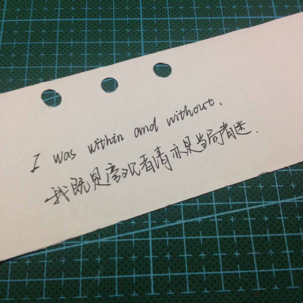 I was within and without.我既是旁观者清亦是当局者迷。