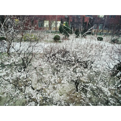 像下雪了一样