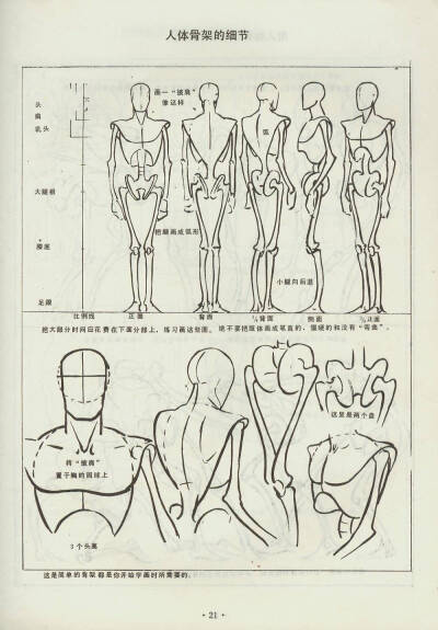 人体教程