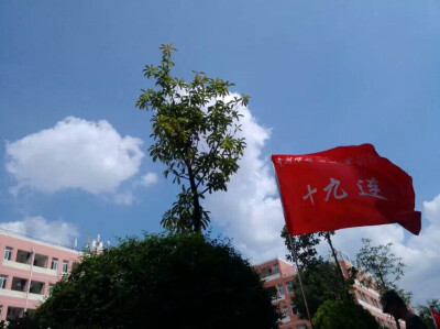 军校是对大学总是那么的充满期待！而现在是对毕业做等待