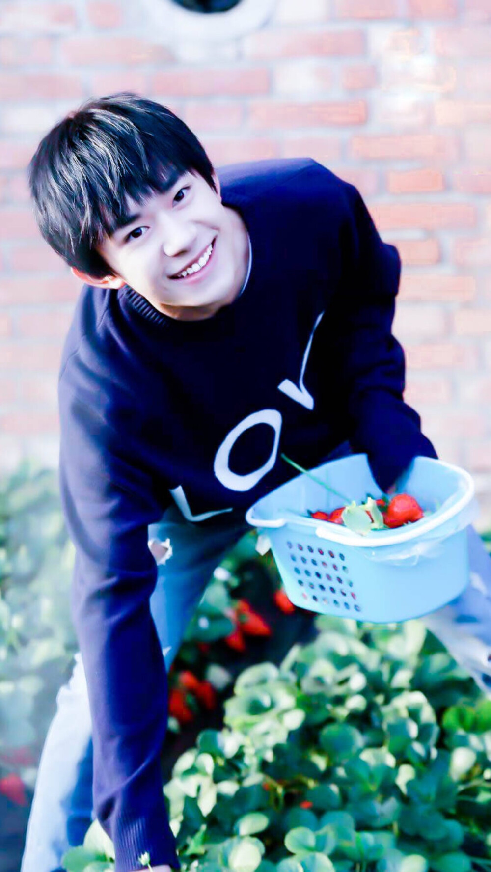 关注2017年3月16日 20:08栖楠枫