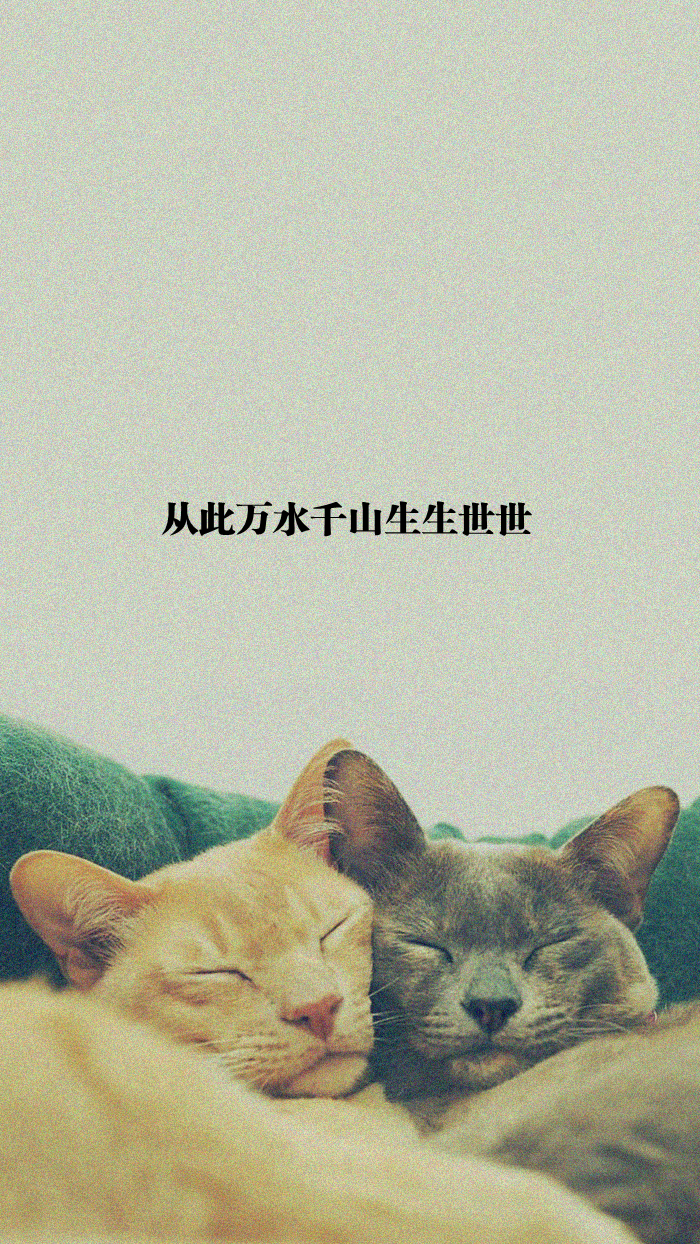 原创 自制 壁纸 背景 文字 禁止加水印修改