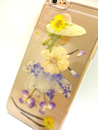 手工定制苹果iphone7/6s/plus真花手机壳oppo植物标本鲜花防摔套