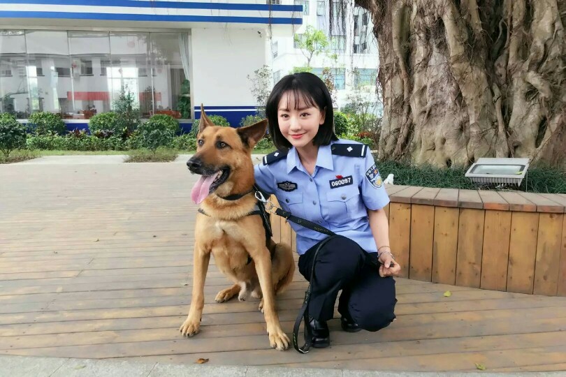 警犬 我蓉新剧 开机大吉