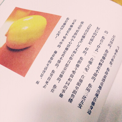 甲乙丙丁