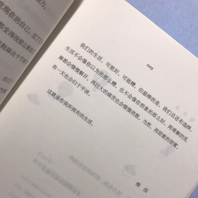 糟